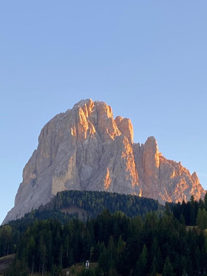 Apartments Mezdi Santa Cristina Val Gardena المظهر الخارجي الصورة