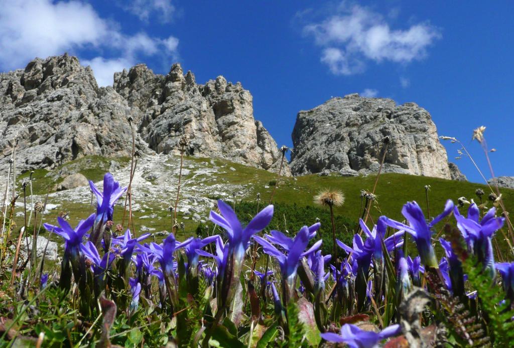 Apartments Mezdi Santa Cristina Val Gardena المظهر الخارجي الصورة